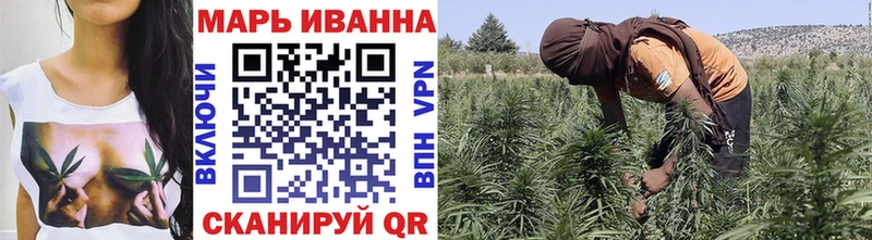 Канабис сатива  Белово 
